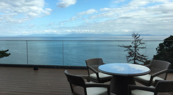 新型コロナを再考察