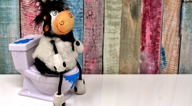 排水設備の機能について〜SARSはトイレから〜