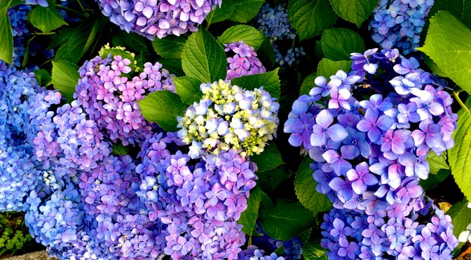 雨水管の配管サイズを選定する