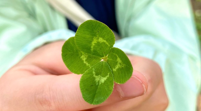 新しいブログ始めました！